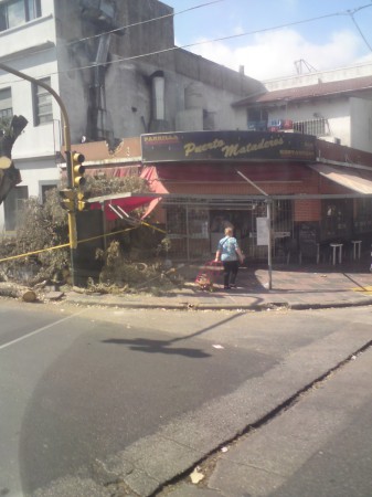 Storm Damage, Mataderos